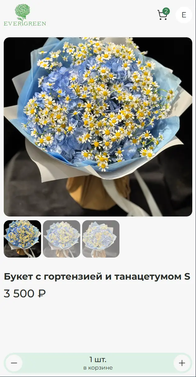 МОСТ. Evergreen — cart